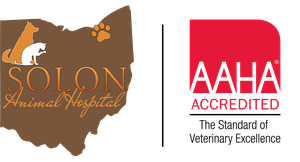 Solon Animal Hospital logo